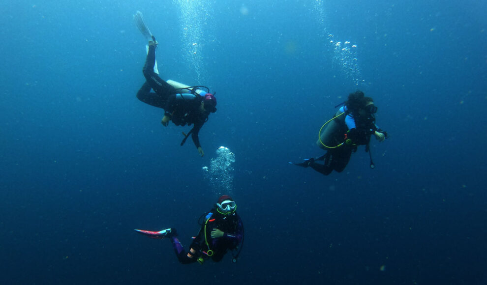 Cursos de Buceo en Isla Catalinas
