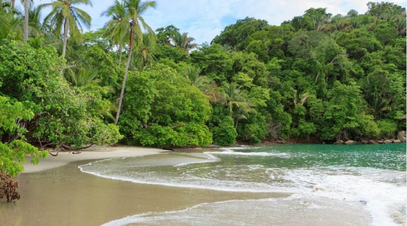 Los mejores Tours al Parque Nacional Manuel Antonio, Costa Rica